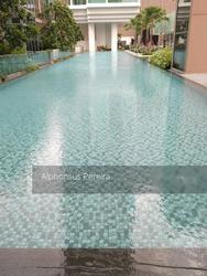 marine-blue photo thumbnail #12